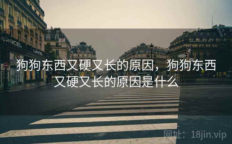 狗狗东西又硬又长的原因，狗狗东西又硬又长的原因是什么