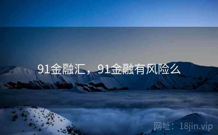 91金融汇，91金融有风险么