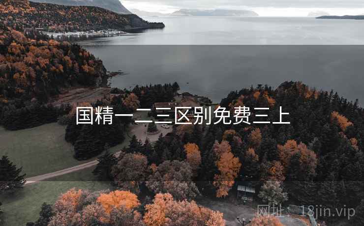 国精一二三区别免费三上