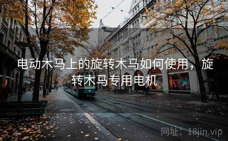 电动木马上的旋转木马如何使用，旋转木马专用电机