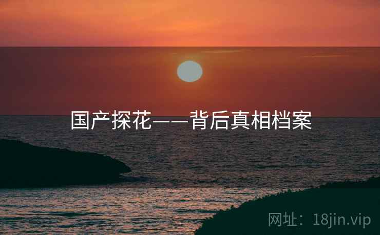 国产探花——背后真相档案